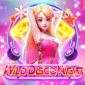 WILD DISCO NIGHT